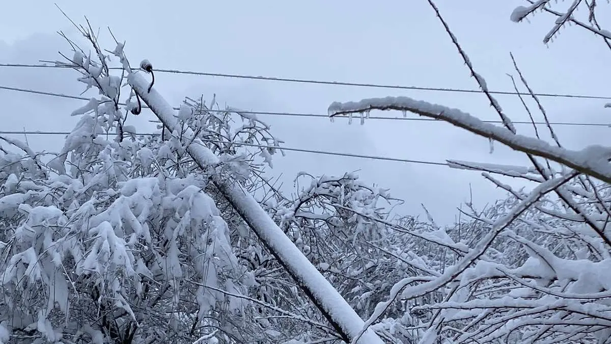elektrodistribucija srbije, eds, sneg, struja, isporuka struke električne energije, strujni kablovi, kvar na elektro mreži, monteri - 11 jan 2026 - TANJUG ELEKTRODISTRIBUCIJA SRBIJE (3)-6963b258deb1c.webp