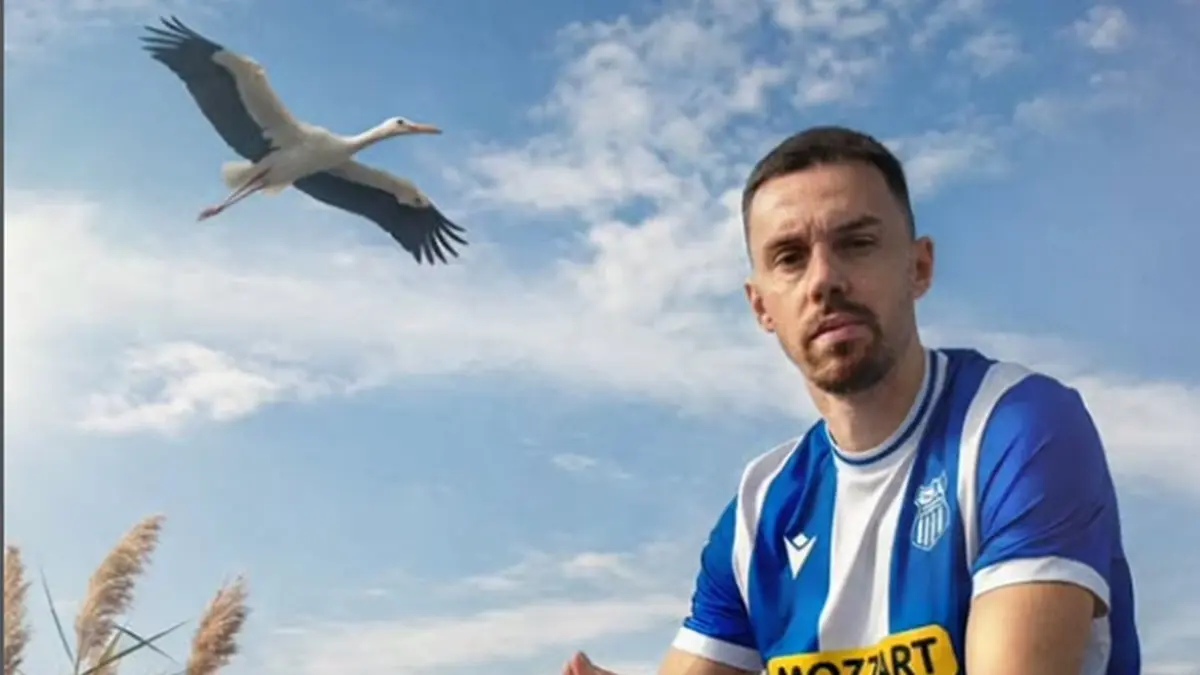 milan rodic ofk beograd-696a74eec9eb4.webp