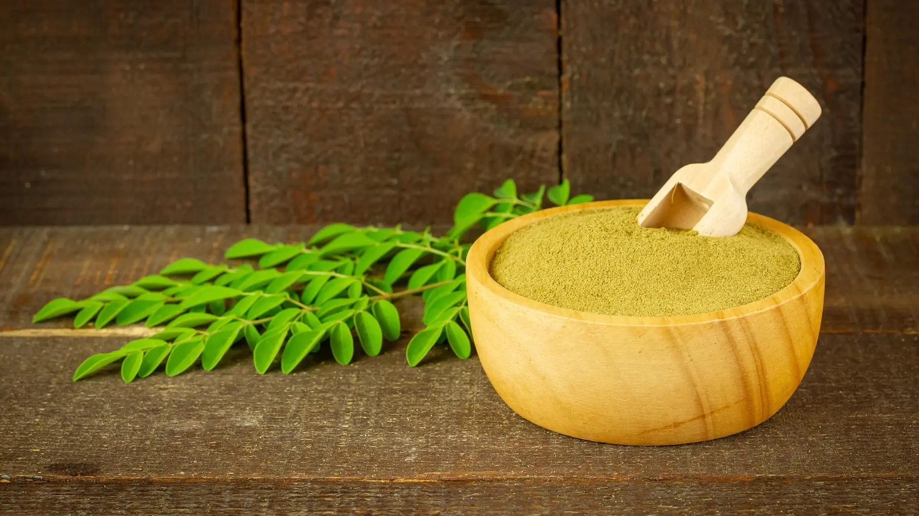 moringa pixabay 1-69691eba50fe5.webp