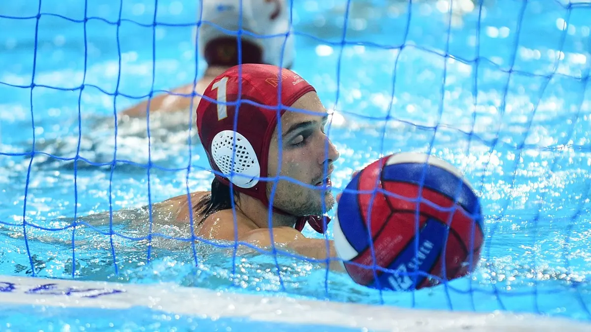 petar tesanovic dusan milenkovic ata-696a668fc9e3e.webp