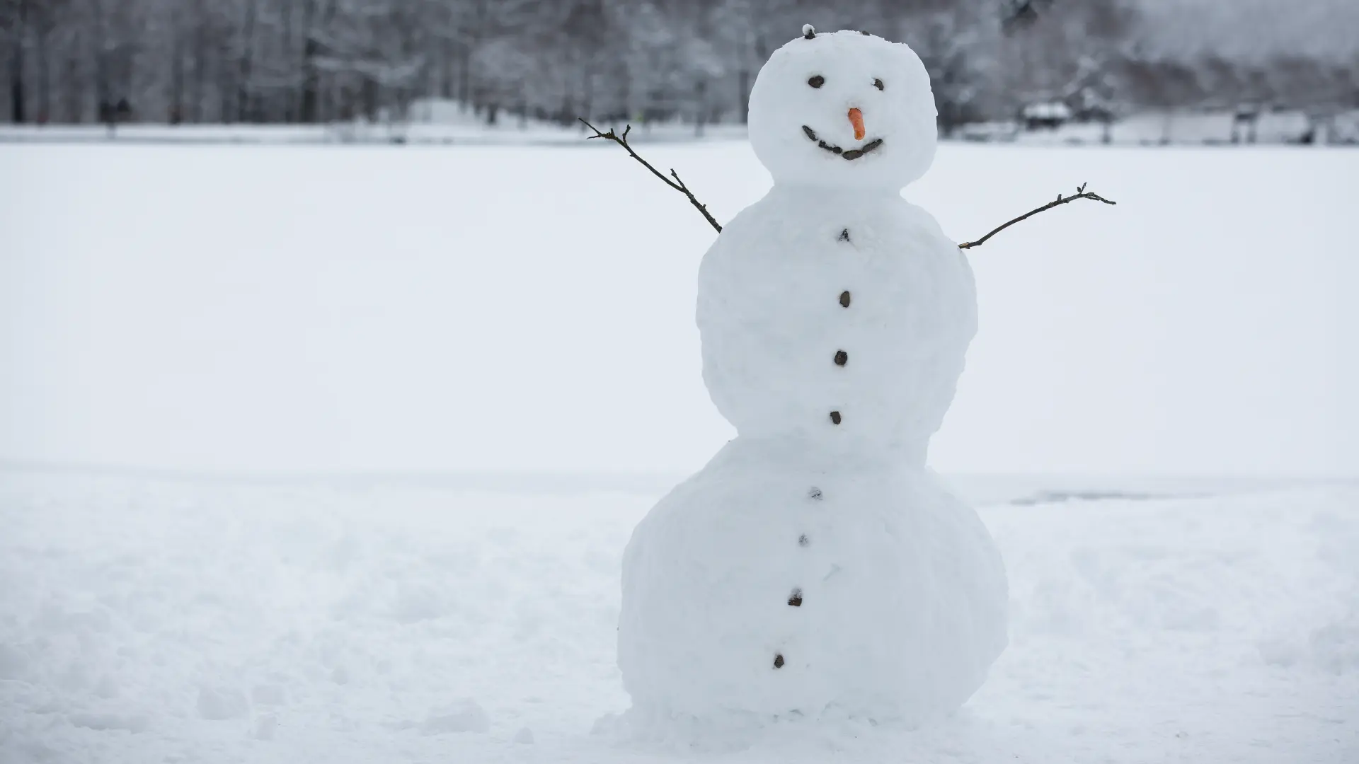 shutterstock, sneško, sneg, zima-696cd33841e3e.webp