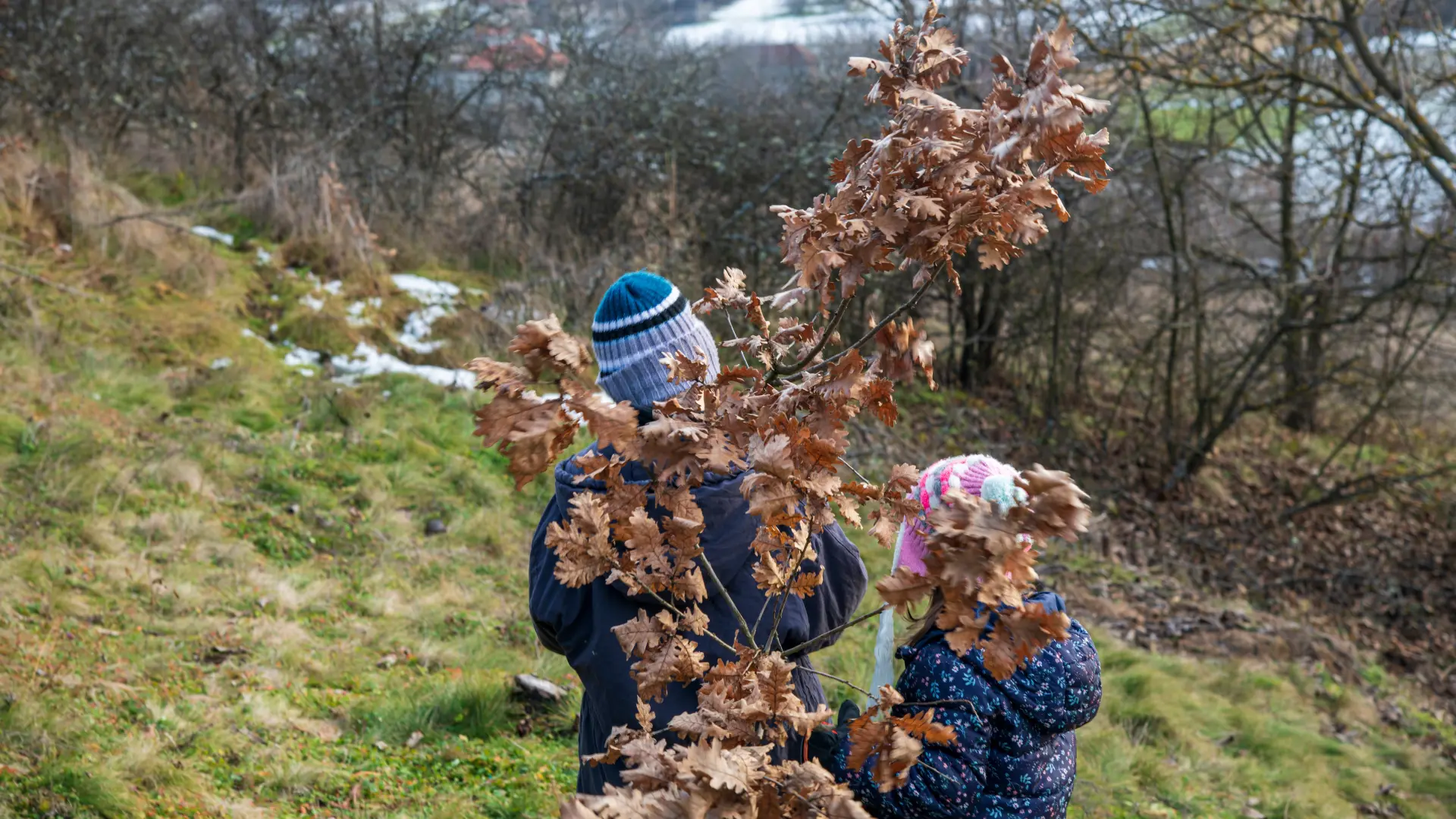 shutterstock_2571536937 sečenje badnjaka badnje jutro badnji dan badnje veče badnjak božić-695bc15a3b324.webp