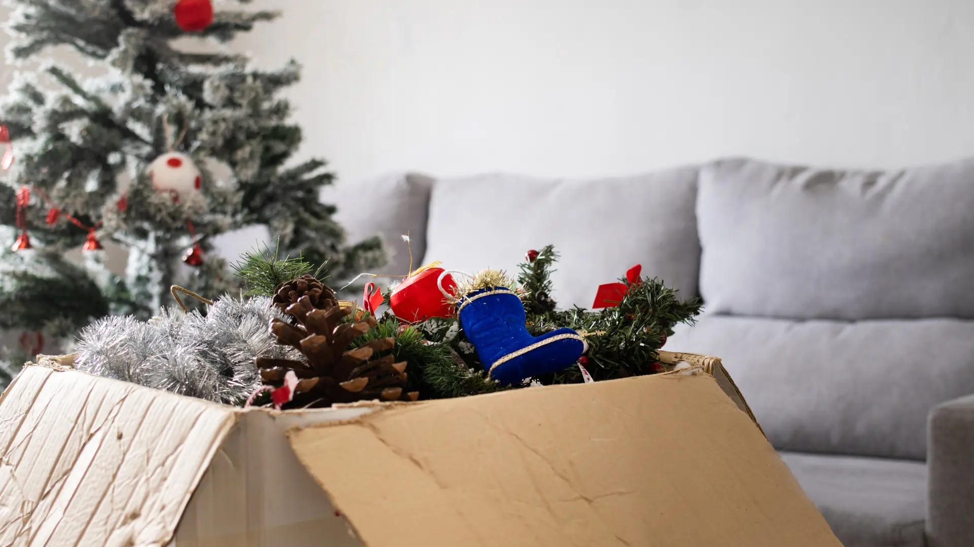 shutterstock_2682198553 kićenje jelke novogodišnja jelka nova godina praznici ukrasi šišarka-696a1d42d34b3.webp