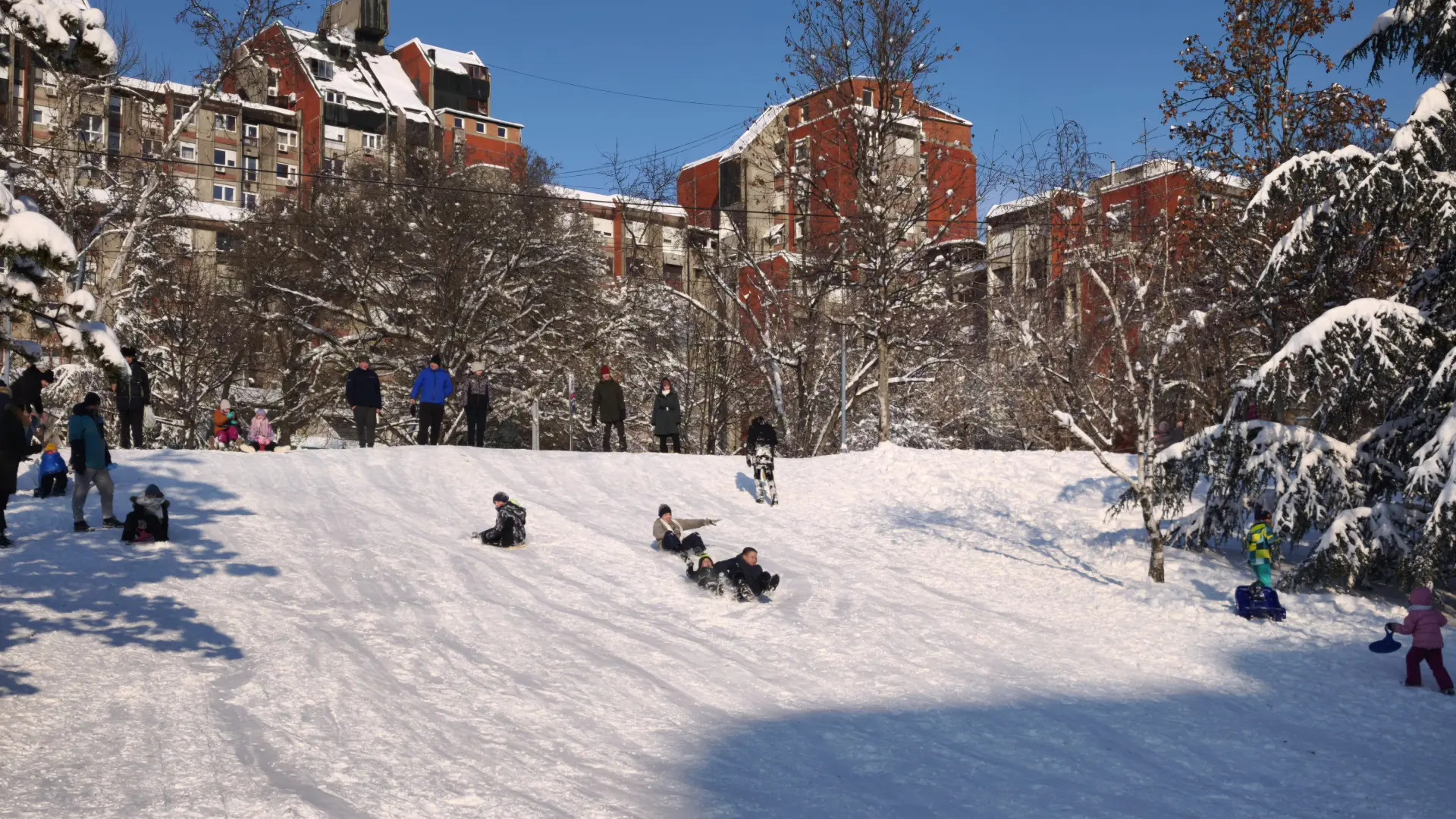 sneg zima beograd sankanje klizanje grudvanje S.S.ATAImages-6961060238dcc.webp