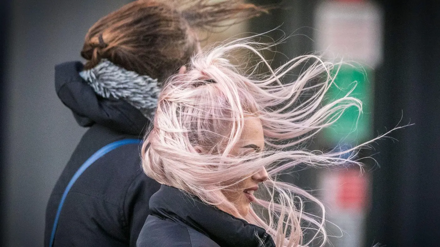 vetrovito hladno vreme, vetar, košava, kosa - 2020 -  profimedia-0511313162-697211ca6515b.webp