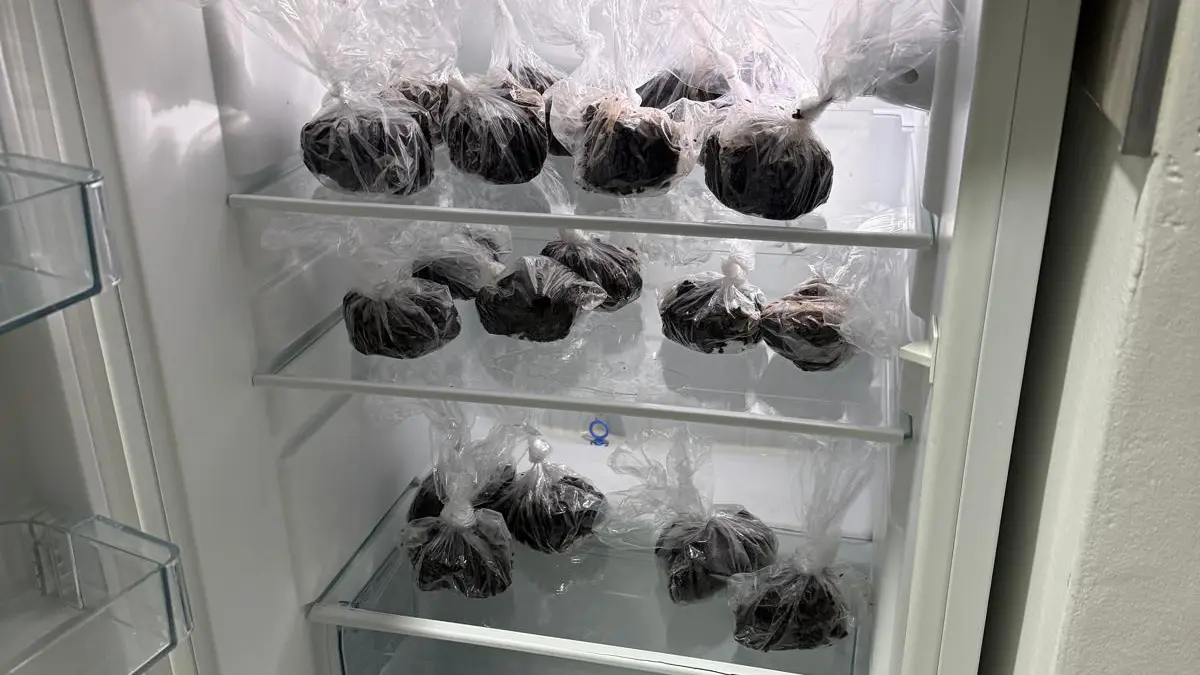 zaplena narkotika Novi Sad (2)-69636b1a6e013.webp