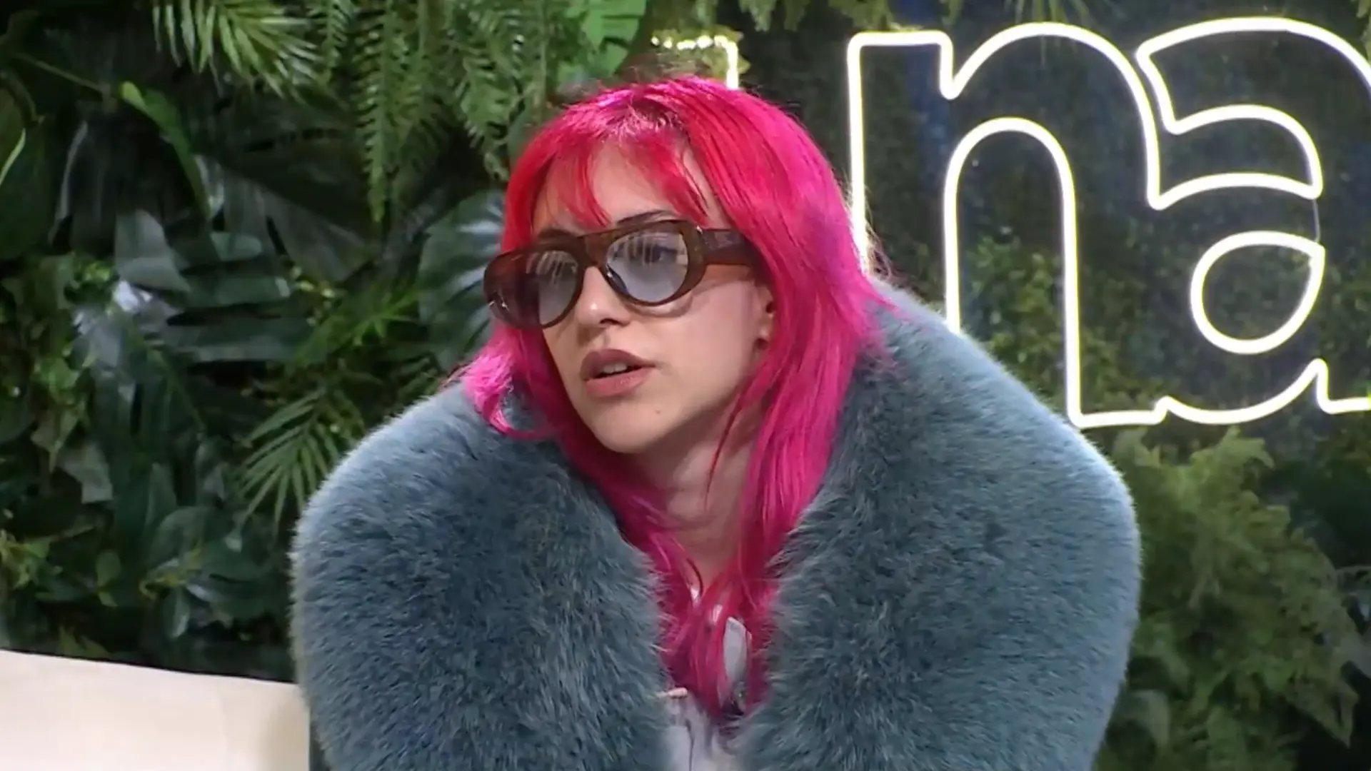 zevin una popodne-697cfaed0973e.webp