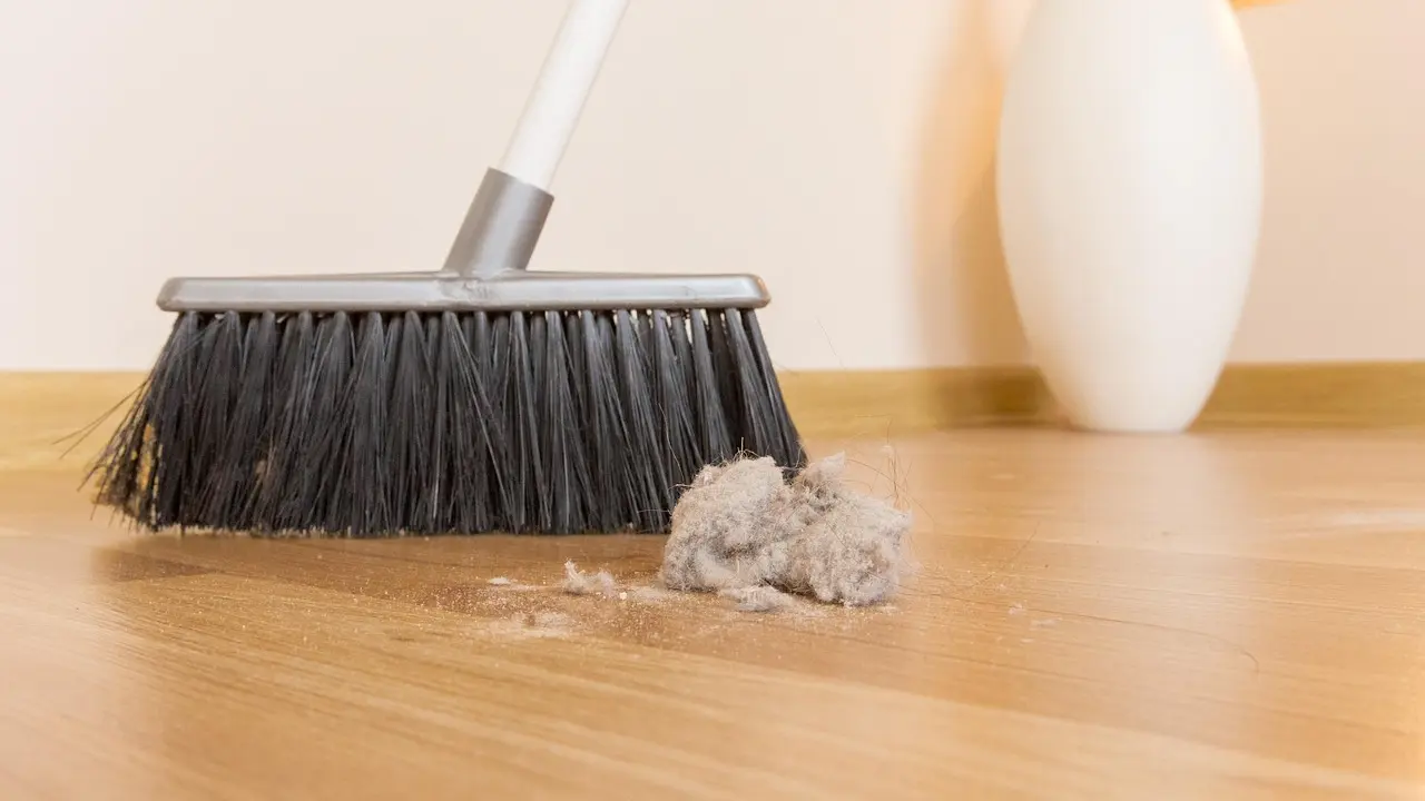 čišćenje, čišćenje prašine-699d6c10124d0.webp