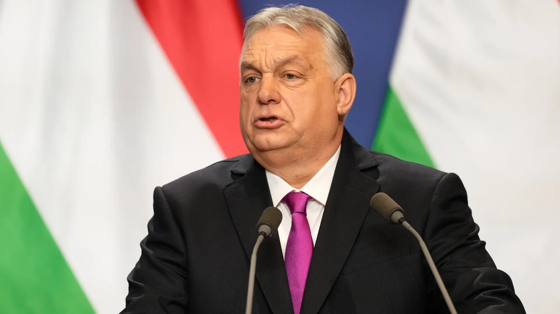 AP, Viktor Orban (2)-6994607dc982d.webp