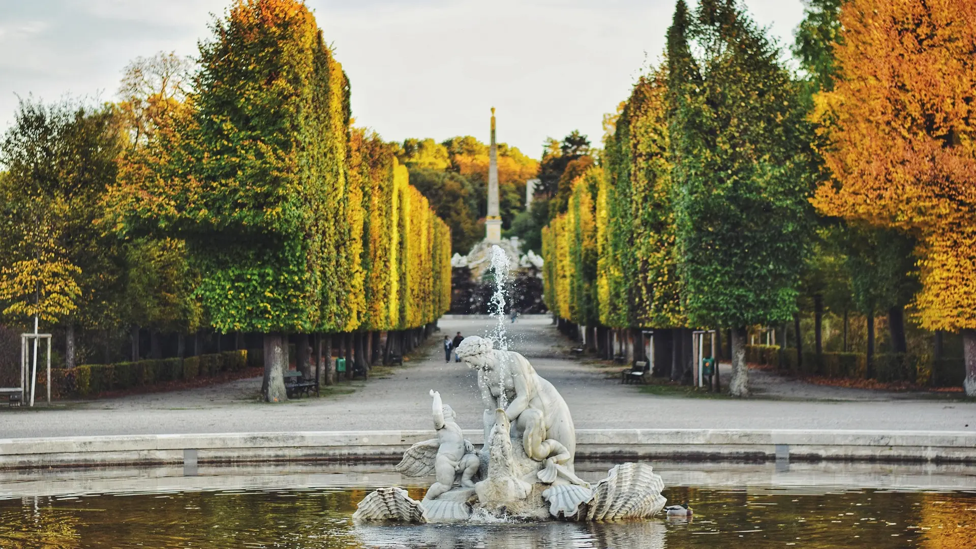 Beč Pixabay-6985f2845d1b5.webp