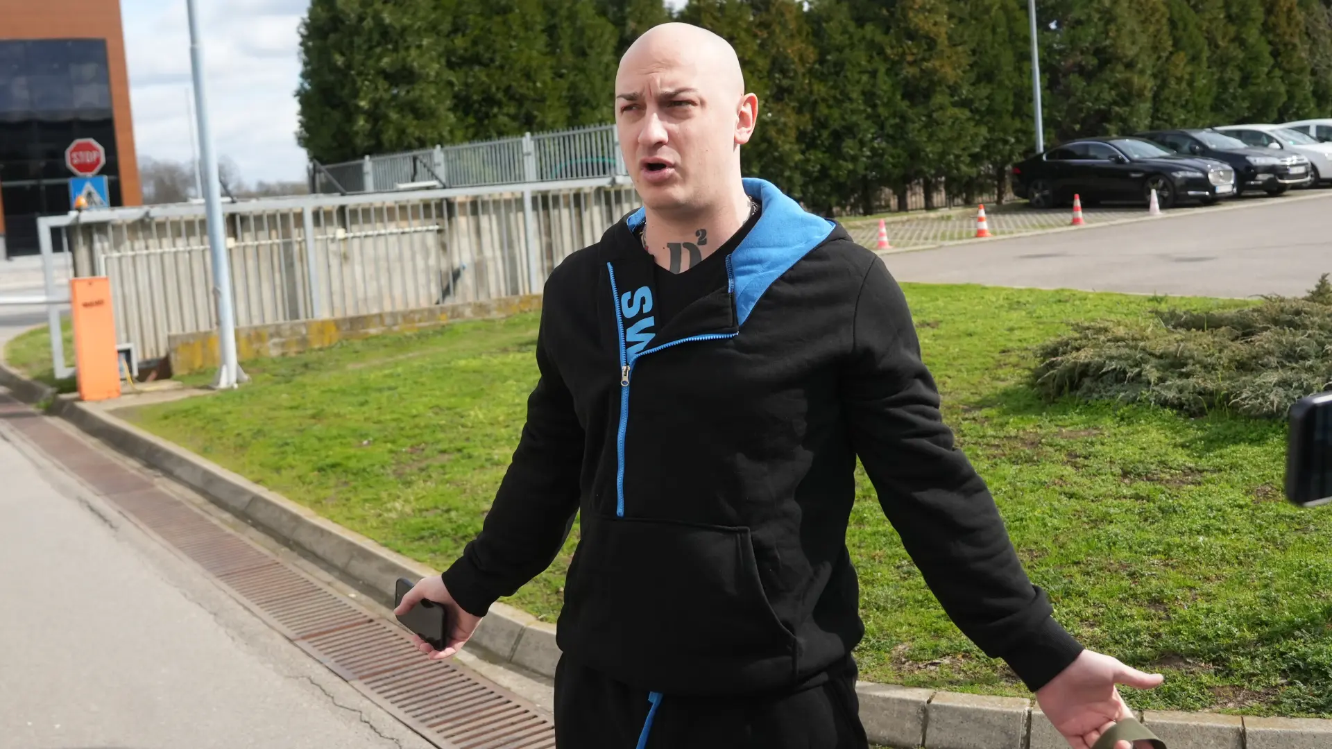 Desingerica, Dragomir Despić Desingerica-699efaae7135f.webp