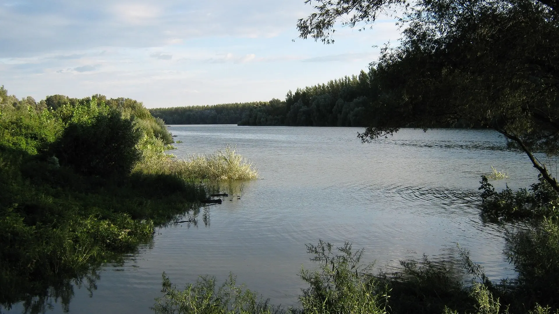 Dunav reka korito-698c9584e43a0.webp