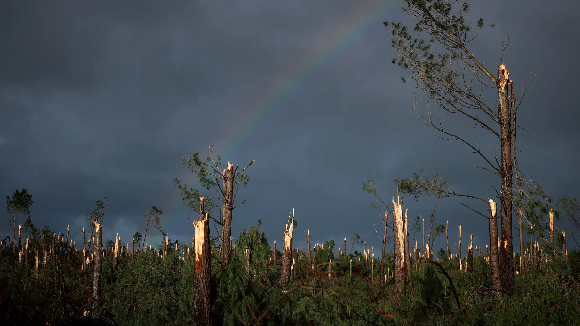 Portugal nevreme oluja Kristin-69834d5fb919c.webp