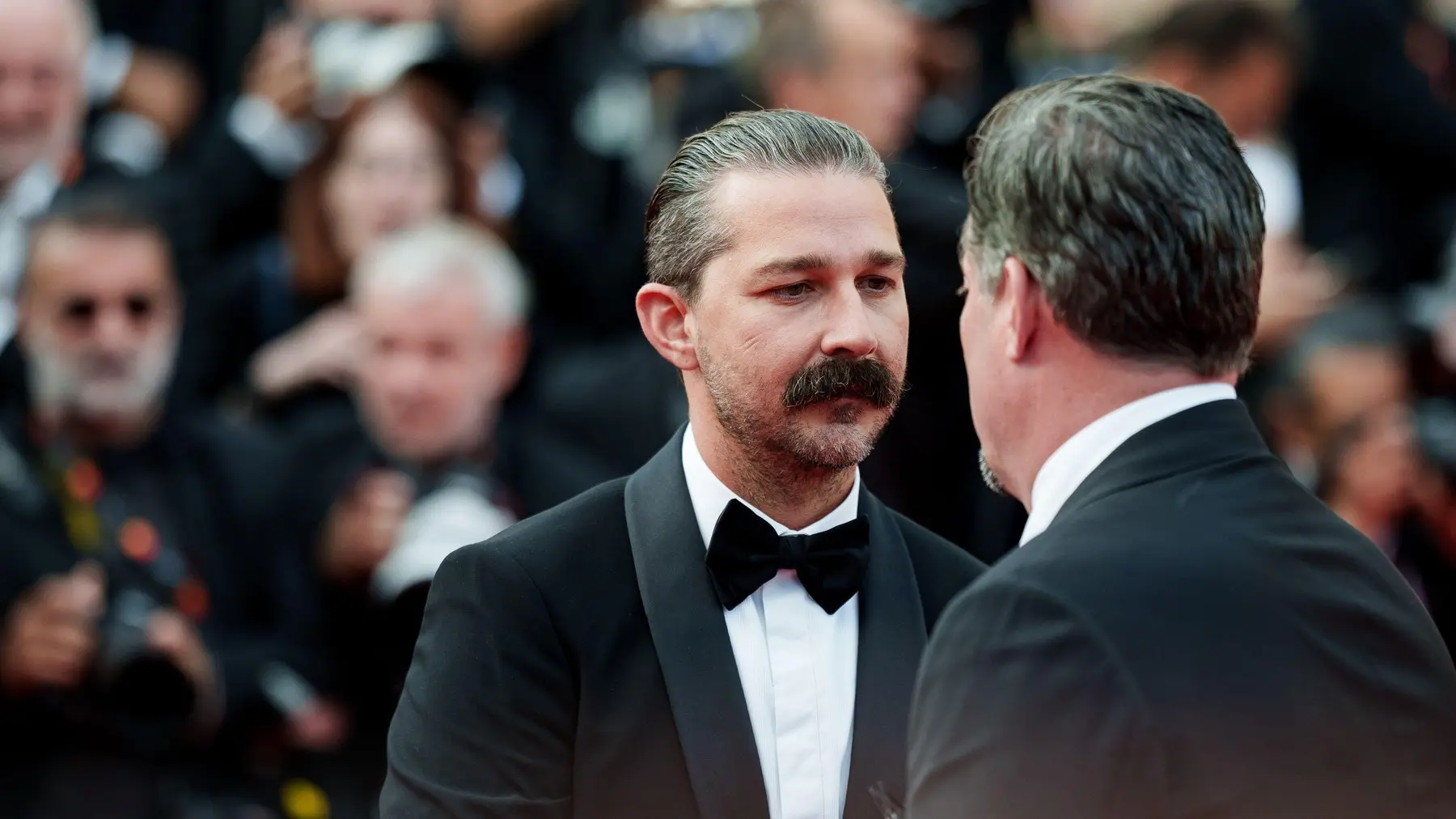 Šaja Labaf-6994a5aff31be.webp