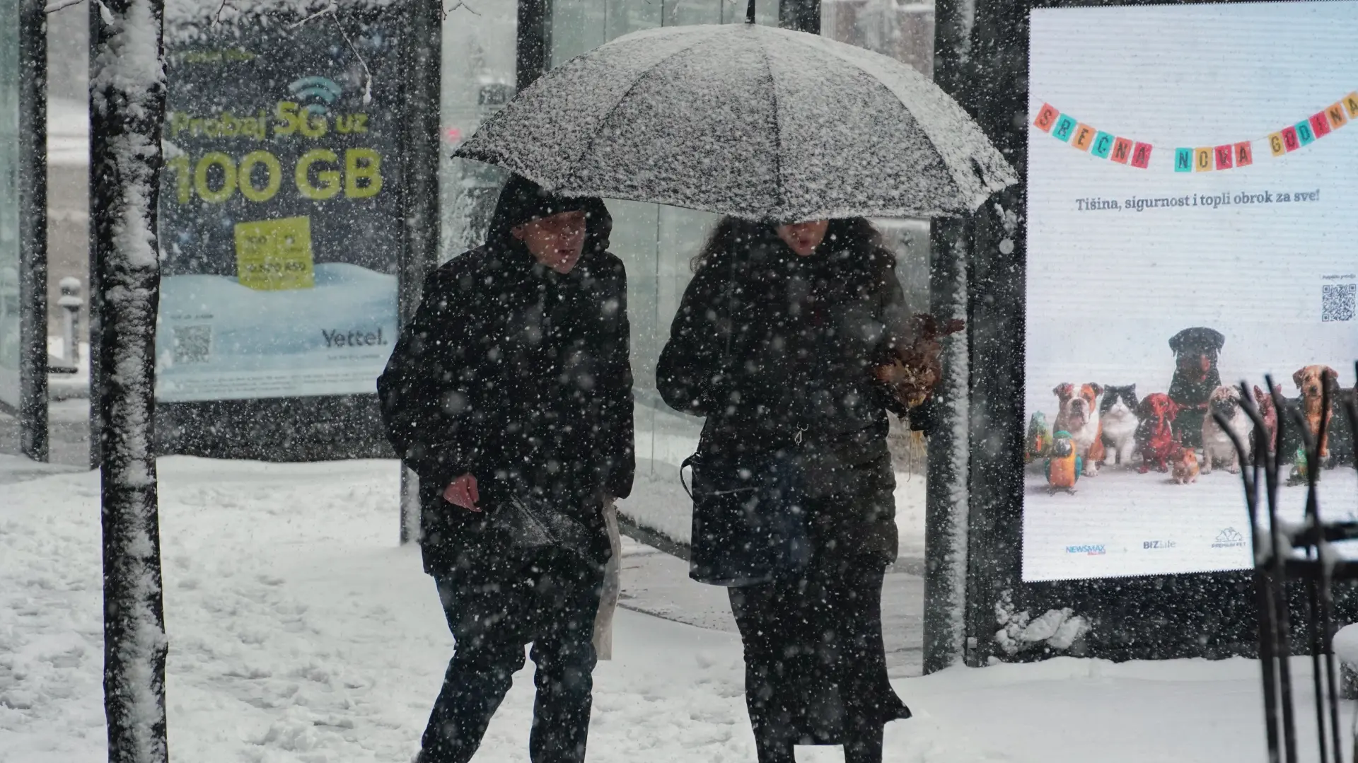 Tan2026-01-0412332424_2 sneg beograd zima vladimir sporcic-69906199ebd86.webp