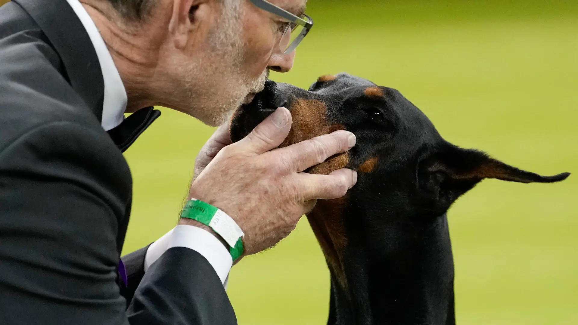 Tan2026-02-0414572572_7 doberman peni AP PhotoYuki Iwamura)-6983a3788eb6f.webp