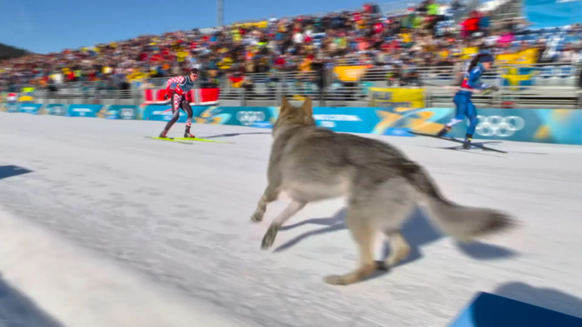 Tan2026-02-1817181809_3 pas na stazi zimske olimpijske igre 2026 Olympic Broadcasting Services via AP-6996e2fe21f08.webp