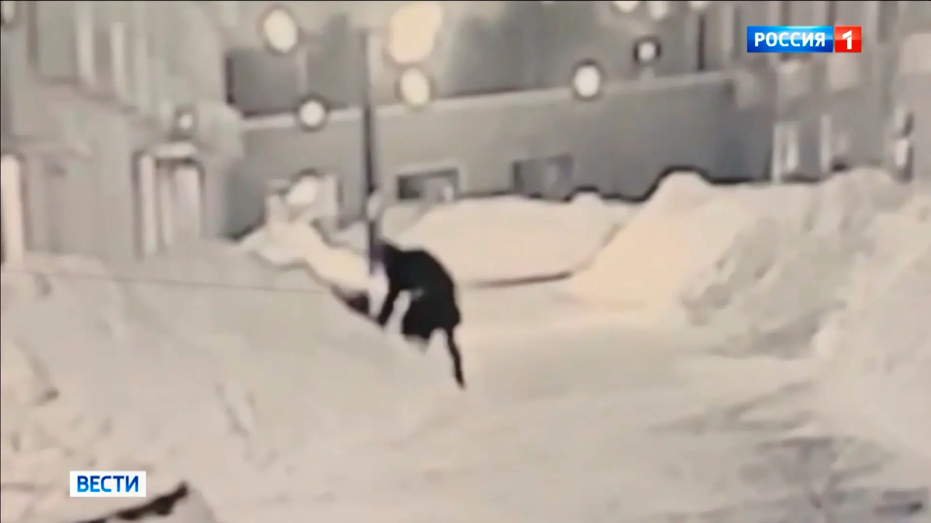 atentat Vladimir Aleksejev (2)-6989a3989291f.webp