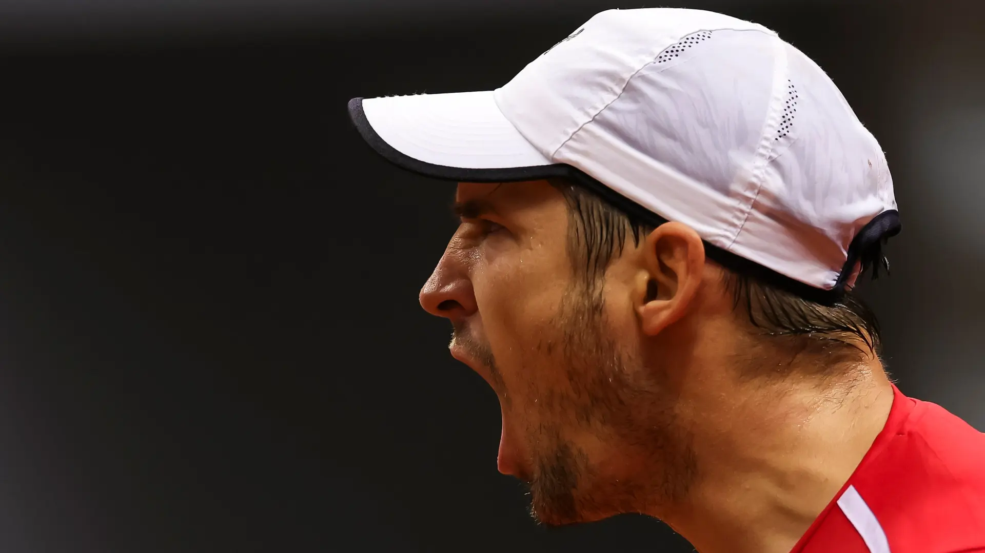 dušan lajović, TSS - S. Stevanović-6980de3f22116.webp