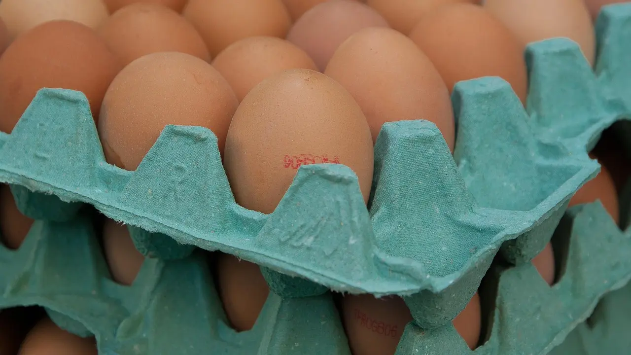 jaja, karton za jaja-698c429c9c667.webp