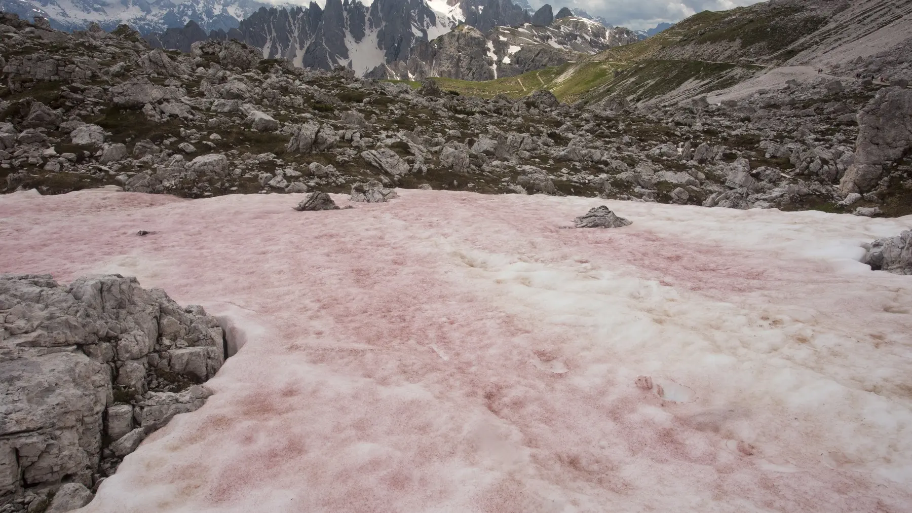 krvavi sneg sneg lubenica planina Italija profimedia-0246985660-6986fcb0311a6.webp