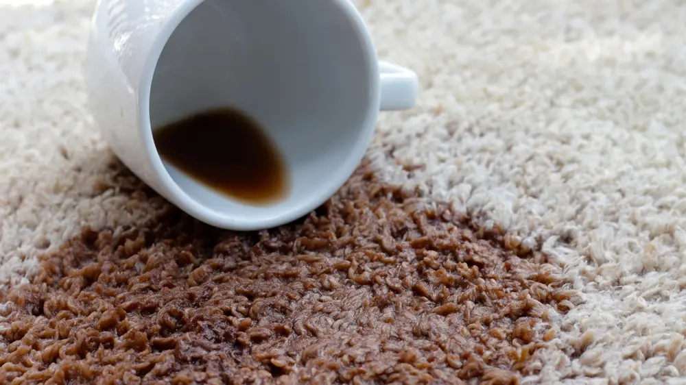 mrlja od kafe, kafa, tepih, prosuta kafa-6980fbc80b8a9.webp