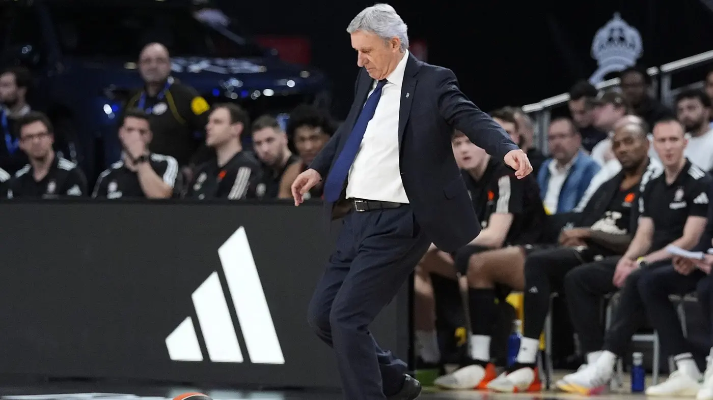 pesic profimedia-69a18cb5af730.webp