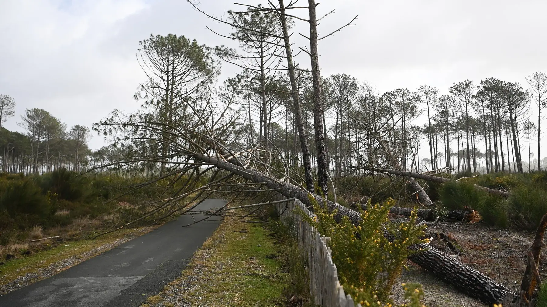 profimedia-1074352931 oluja nils francuska-698efcec93d70.webp