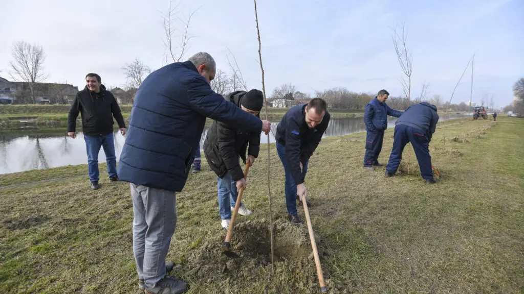 sadnja sadnica u crvenki vode vojvodine-698a10e2470f6.webp