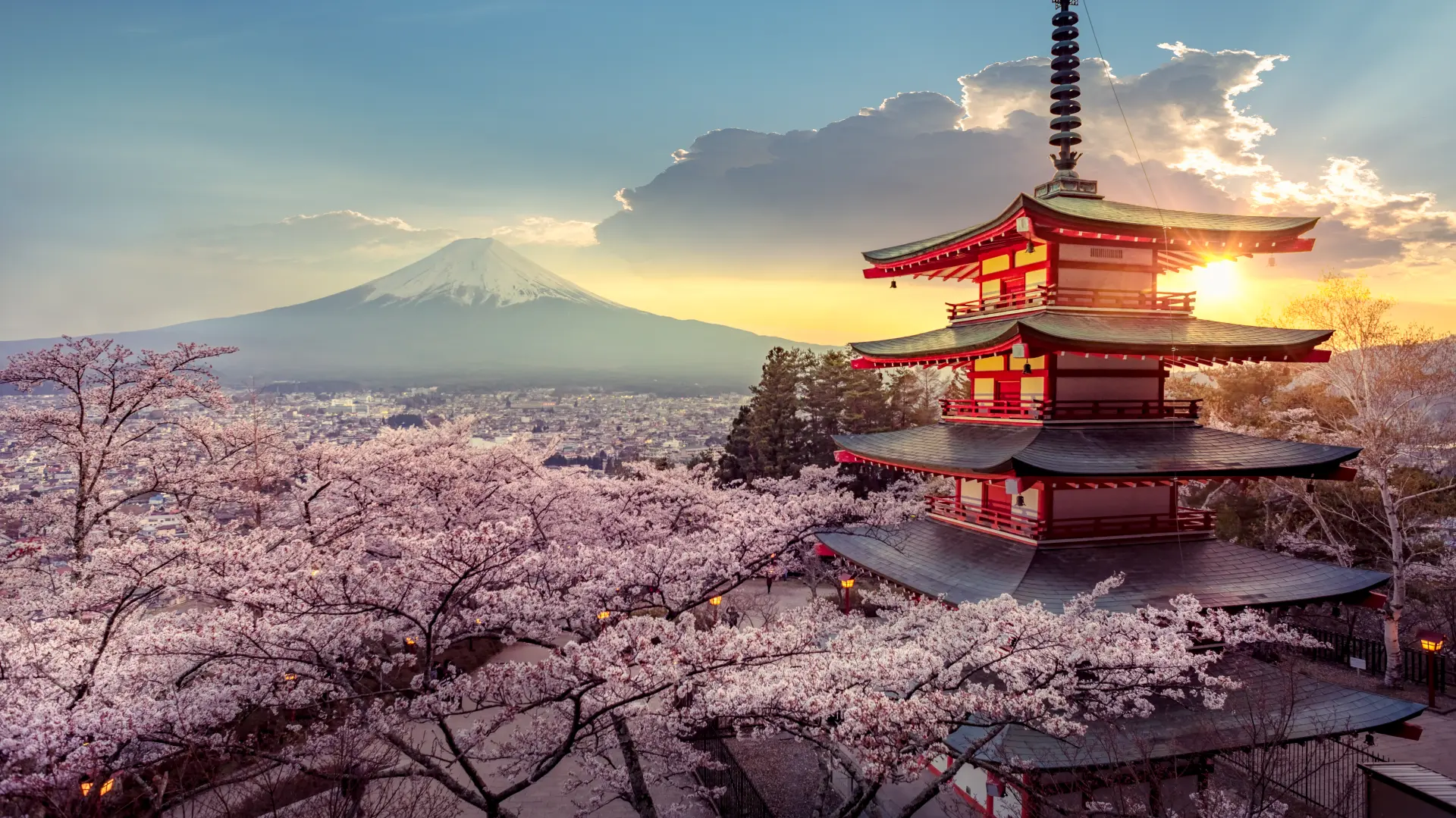 shutterstock_1470218411 japan trešnjin cvet-698da97f04466.webp