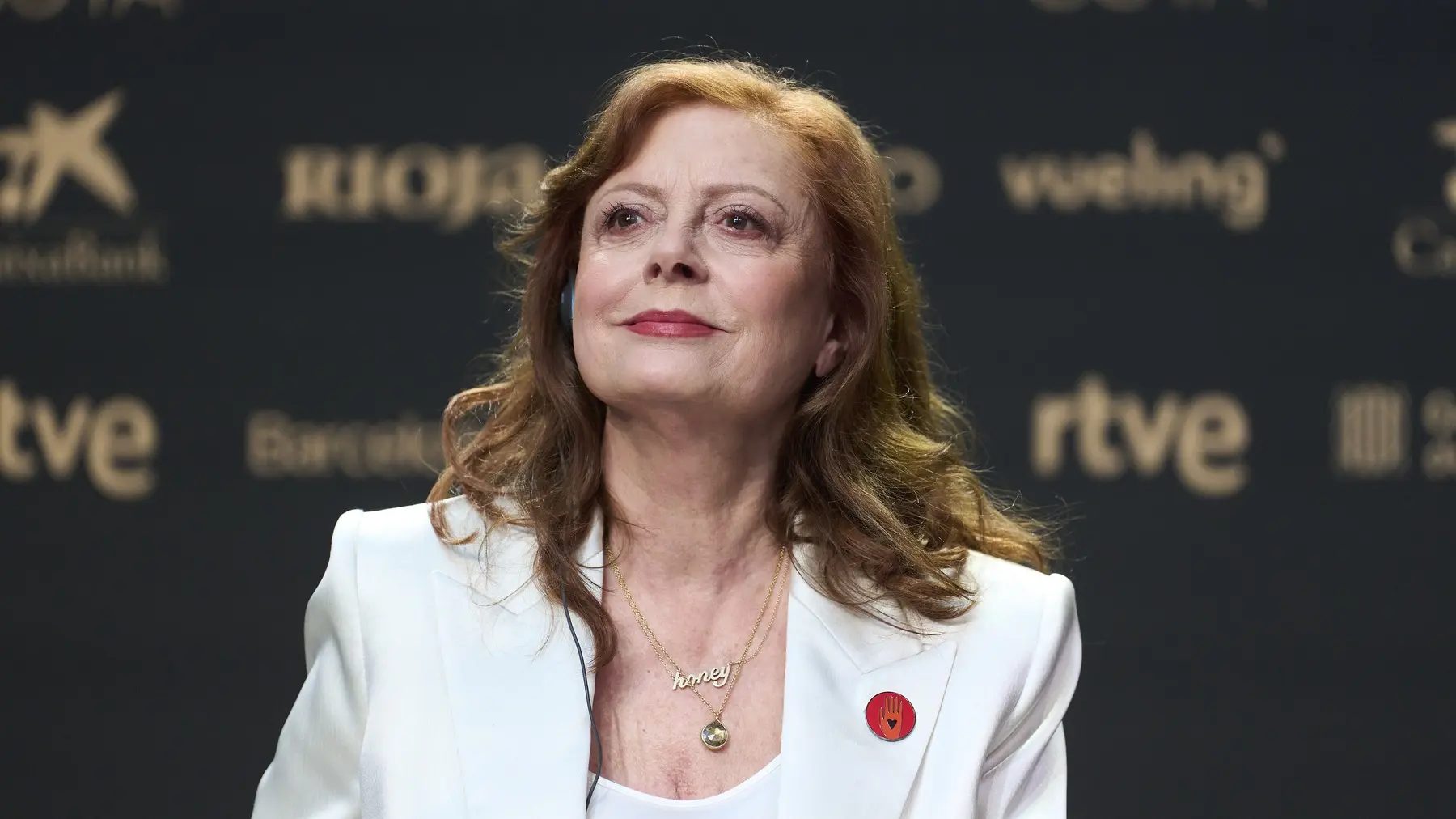 suzan sarandon-69a31185a75d5.webp