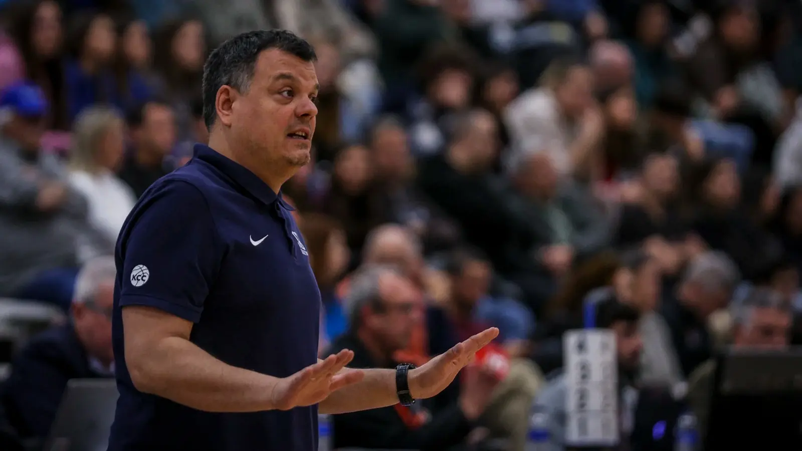 Miloš Pavlović selektor-69b6a29099676.webp