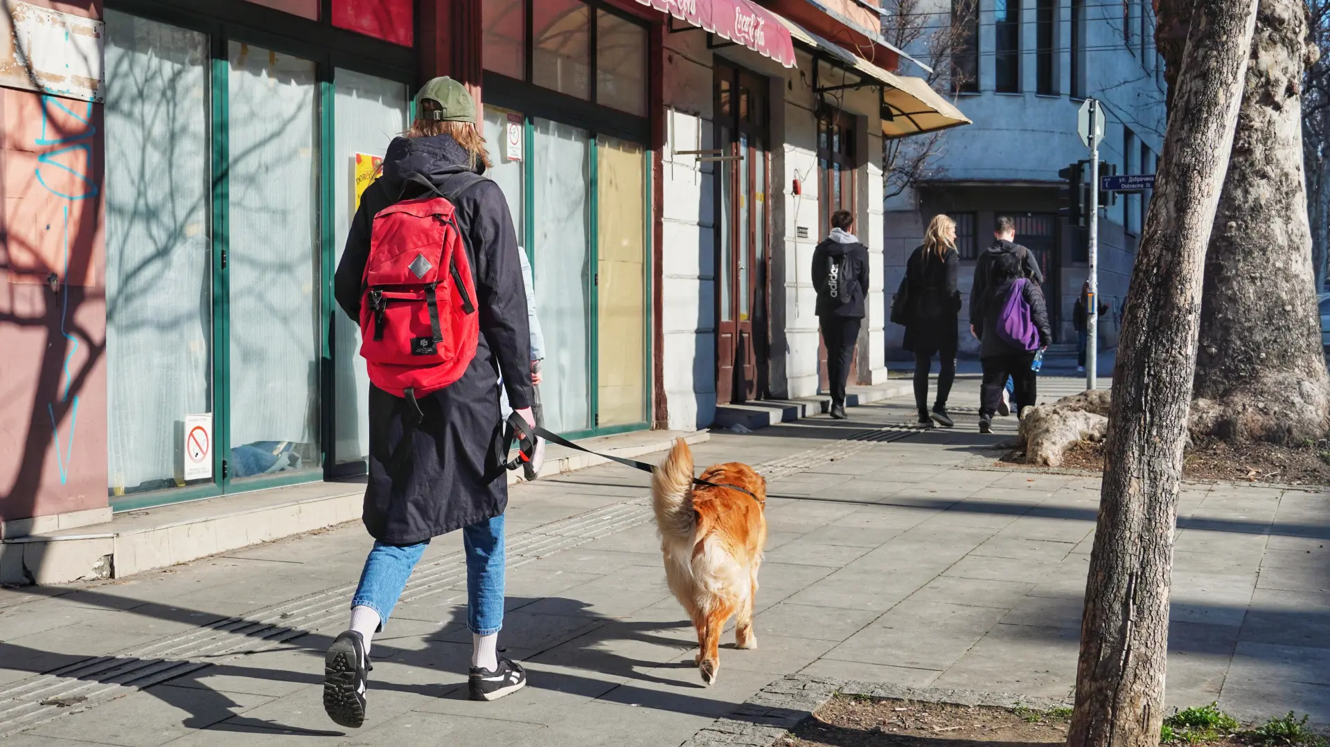 TANJUG, zima, sunce, vreme, Beograd, prognoza, sunčano-69a44438383f5.webp