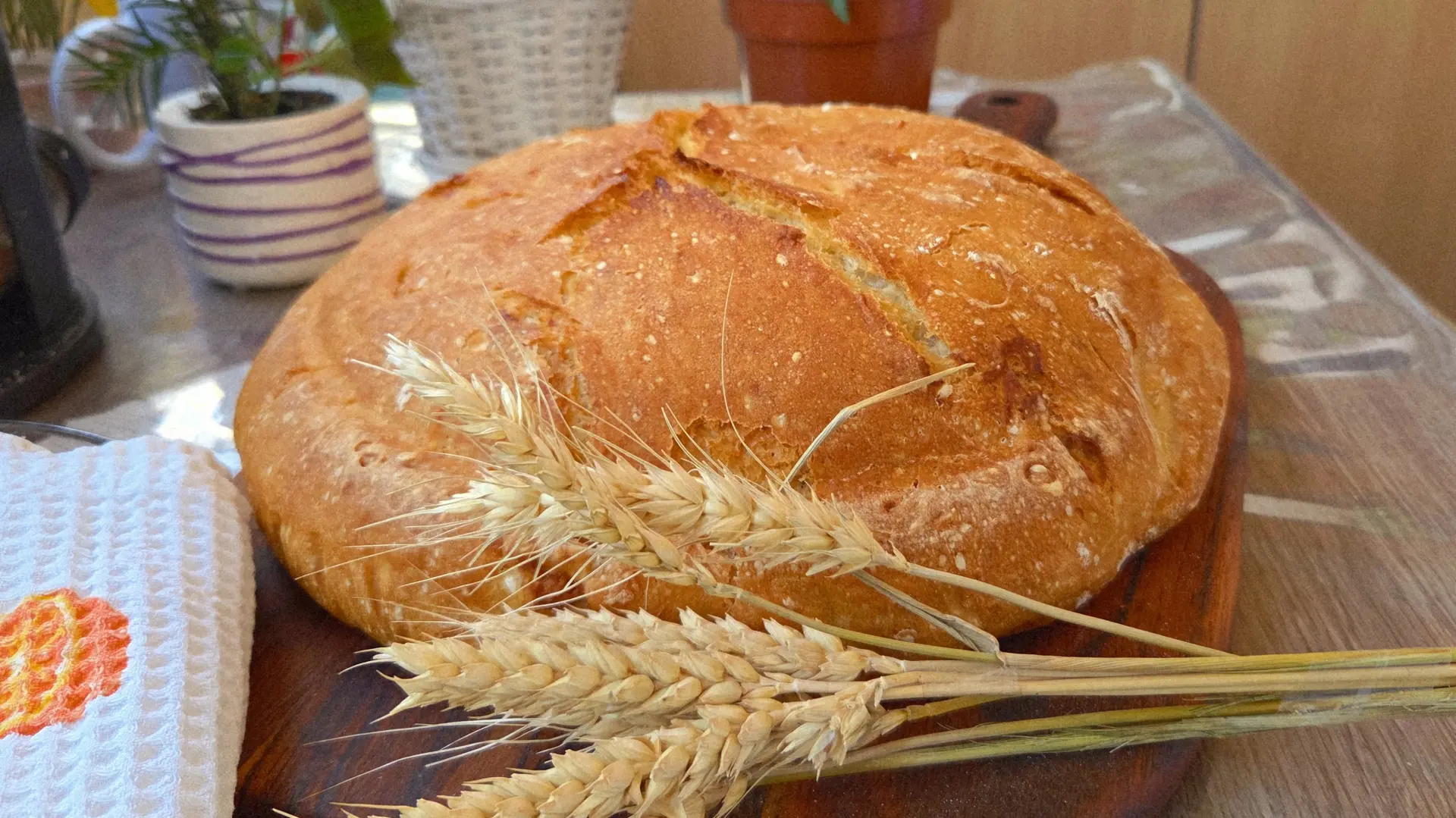 bakina kuhinja pogača 4-69aea14040e12.webp