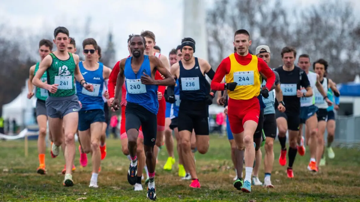 beli kros beogradski maraton-69ac6c67388d9.webp