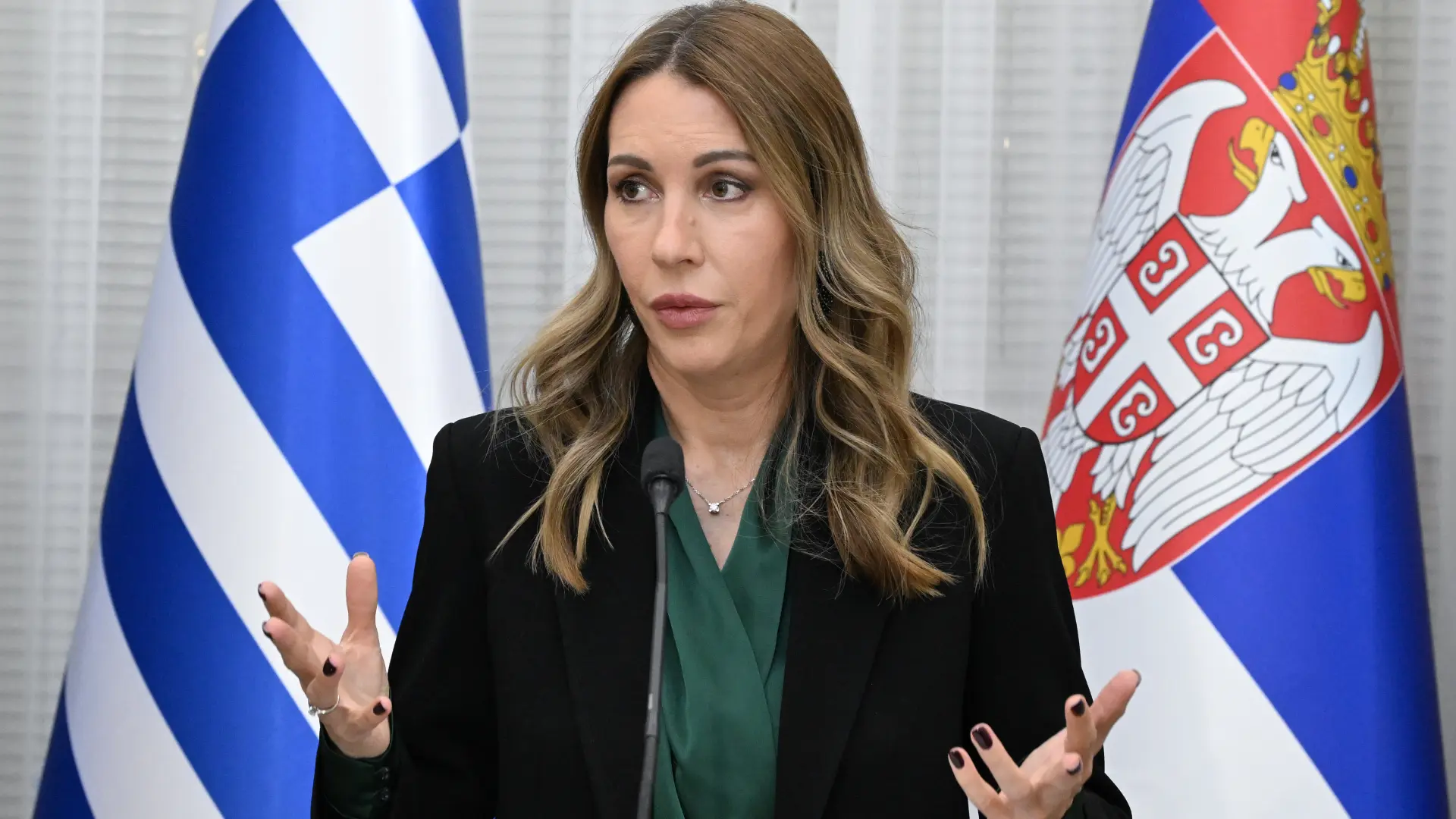 dubravka đedović handanović tanjug rade prelić-69bc46ad7b92c.webp