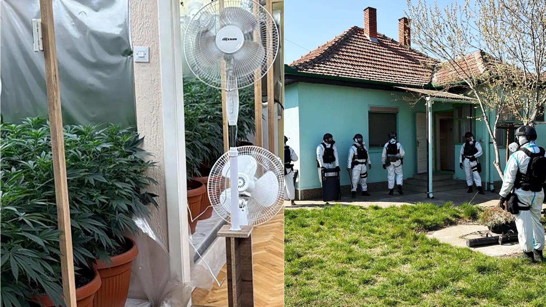 hapšenje Subotica MUP-69b6d957d0482.webp