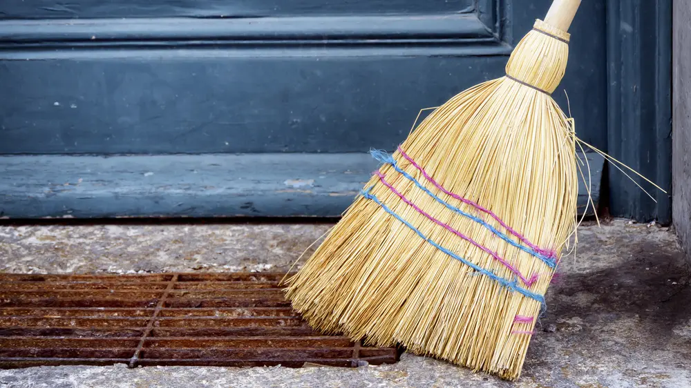 metla, metla pored vrata-69a4244b93067.webp