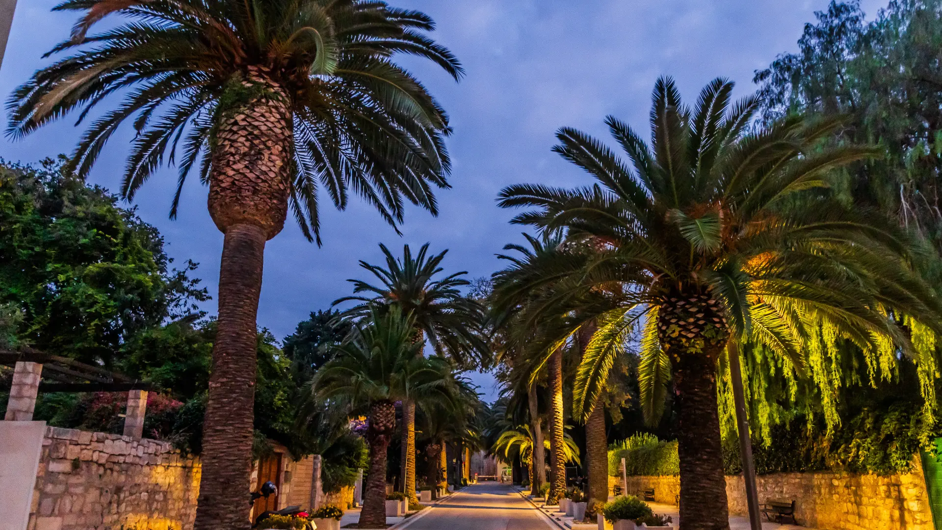 ostrvo brač Zvonimir Barisin pixsell-69b7ce48a61ba.webp