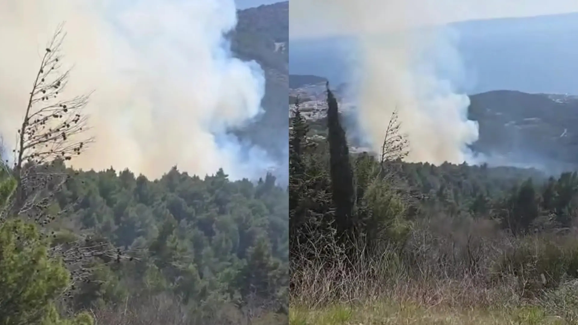 pozar makarska fb vatrogasci 193-69b592313f0f7.webp