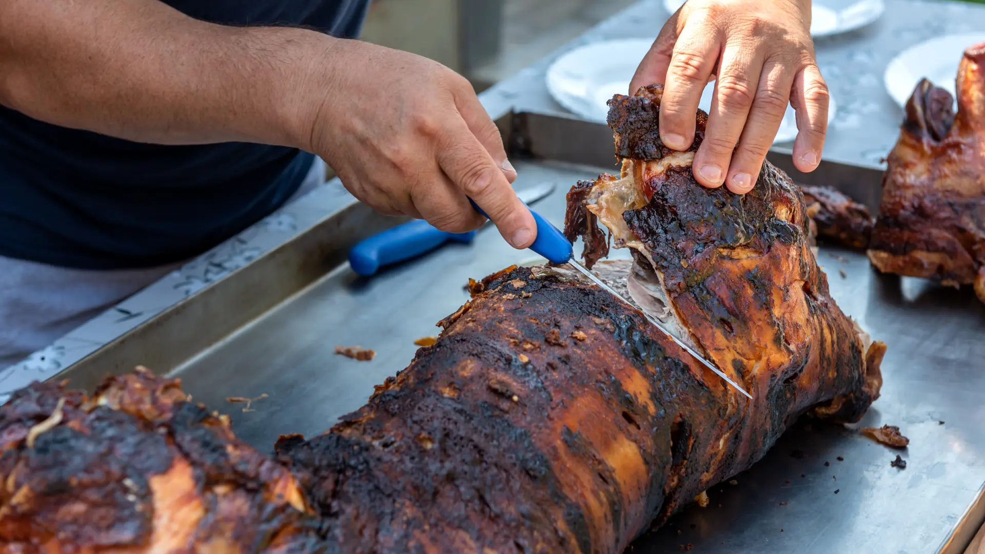 praseće pečenje prasetina pečeno prase ražanj Shutterstock Dejan82-69cb81854eb39.webp