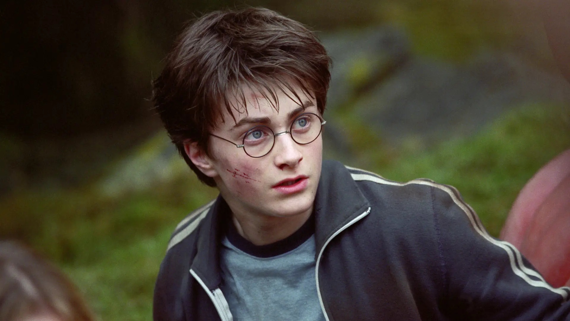 profimedia-0910044329 Harry Potter hari poter danijel redklif-69c2b413d7cc5.webp