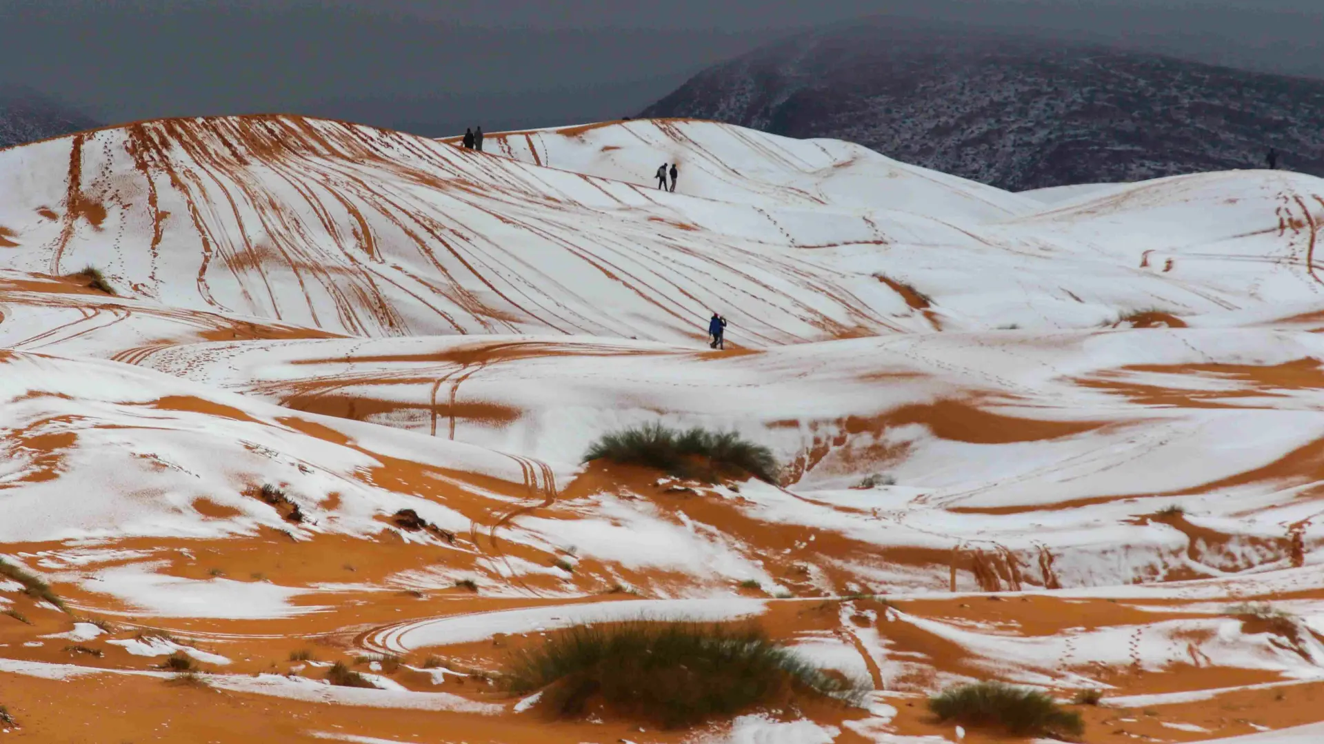 profimedia-1082022318 sahara sneg u sahari-69b3d1338c650.webp