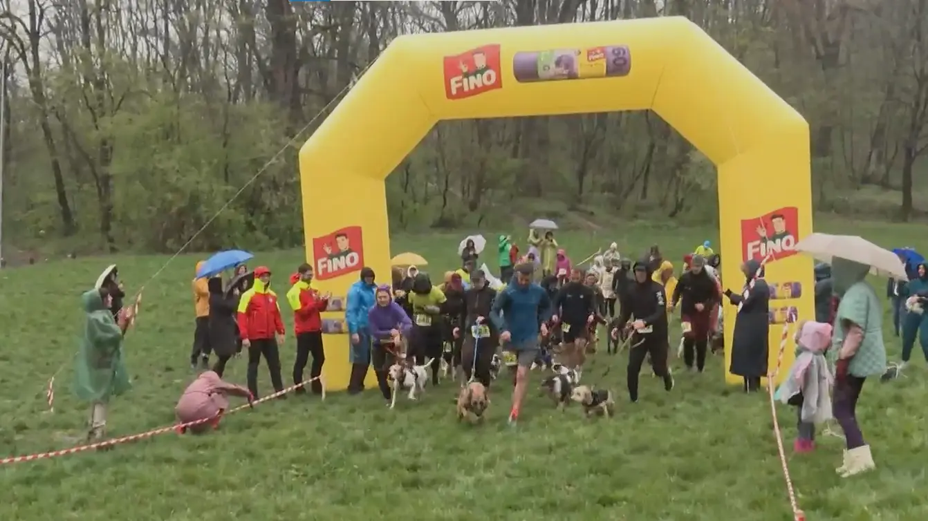 prva trejl trka sa psima UNA-69c81ef16240a.webp