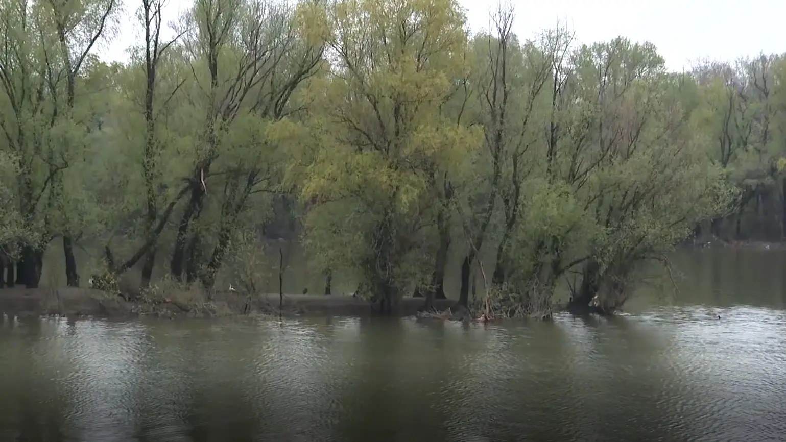 reka vodostaj porast Tanjug video Printscreen-69cb789bc5237.webp