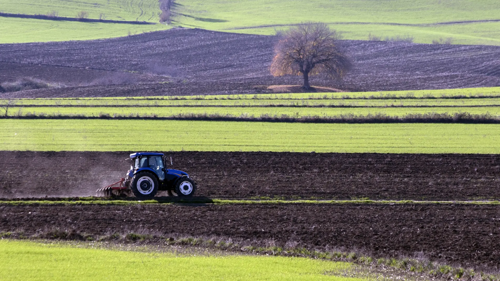 shutterstock, njiva, livada, traktor, poljoprivreda-69b1660c1e0b5.webp