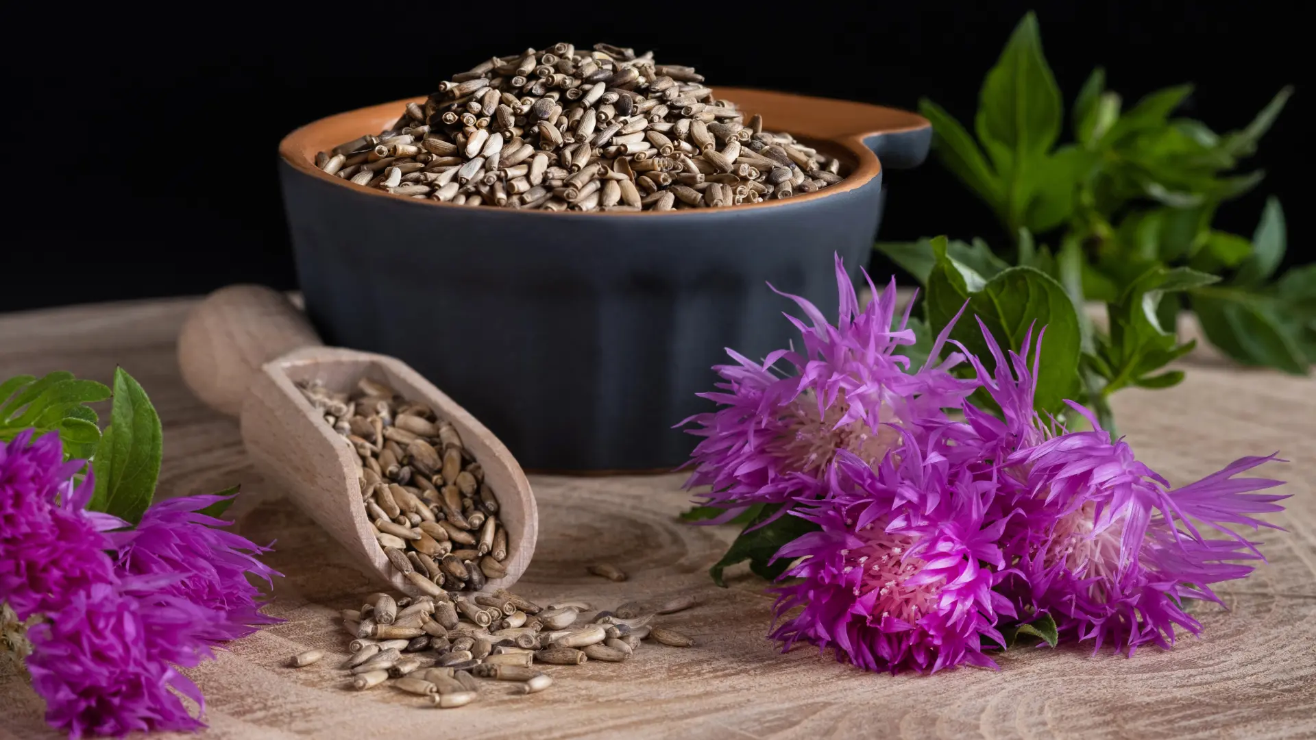 shutterstock_1757872973 Silybum sikavica biljka čaj jetra-69b57555e902b.webp