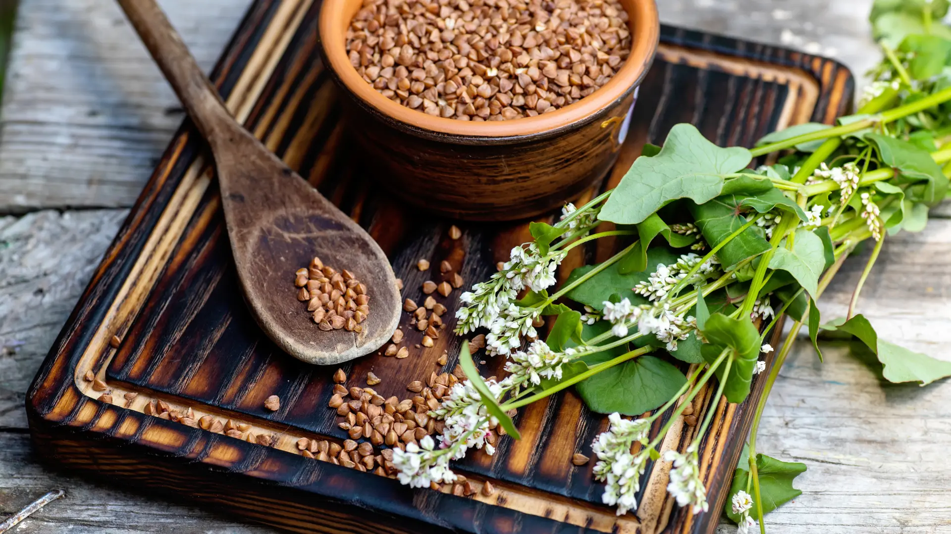 shutterstock_1797113263 heljda žitarica heljdina kaša heljdino-69b2e8a8ac4ca.webp