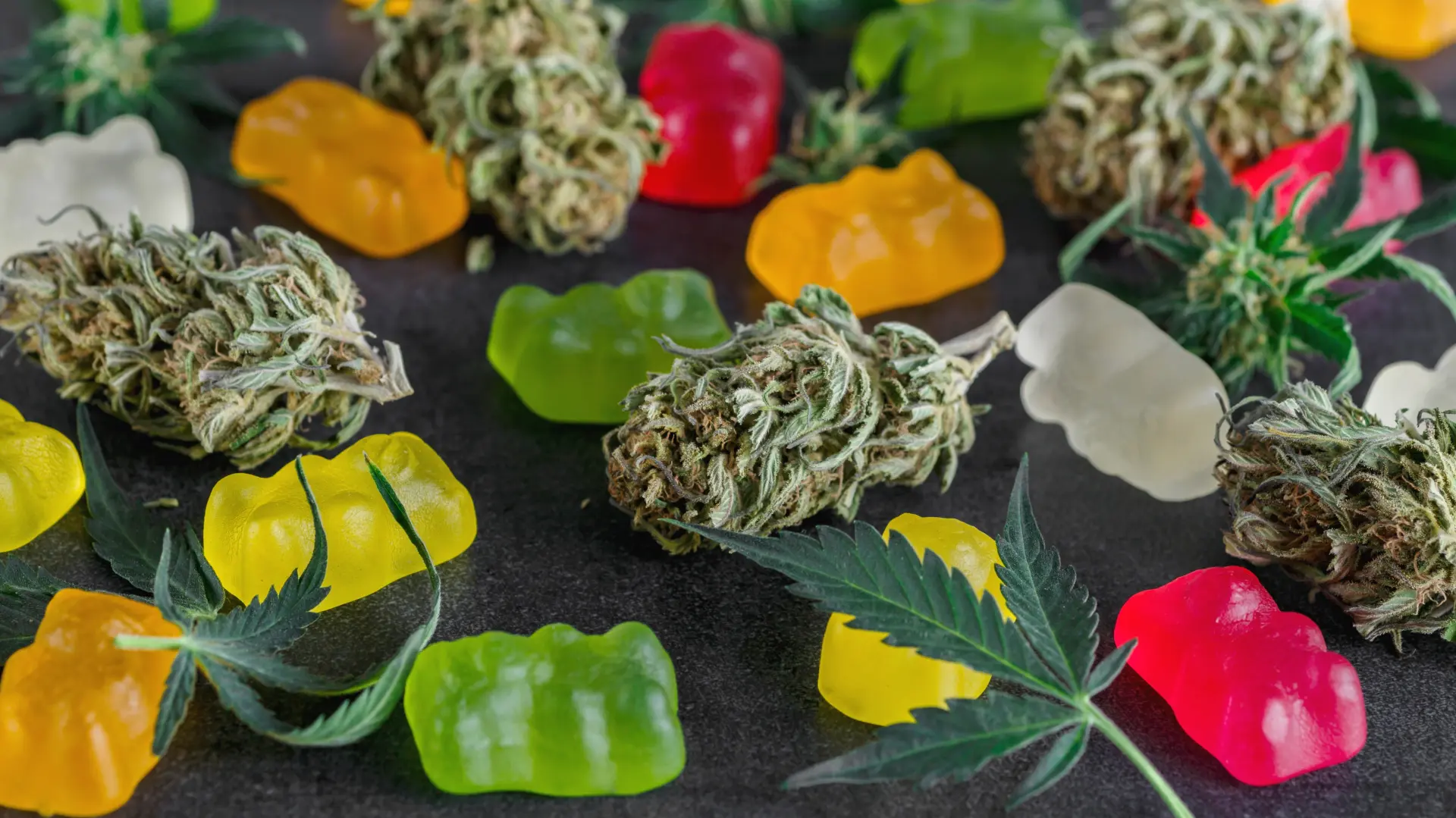 shutterstock_2311031339 narkotici marihuana nedozvoljene supstance kanabis gumene bombone-69aeed50a9561.webp