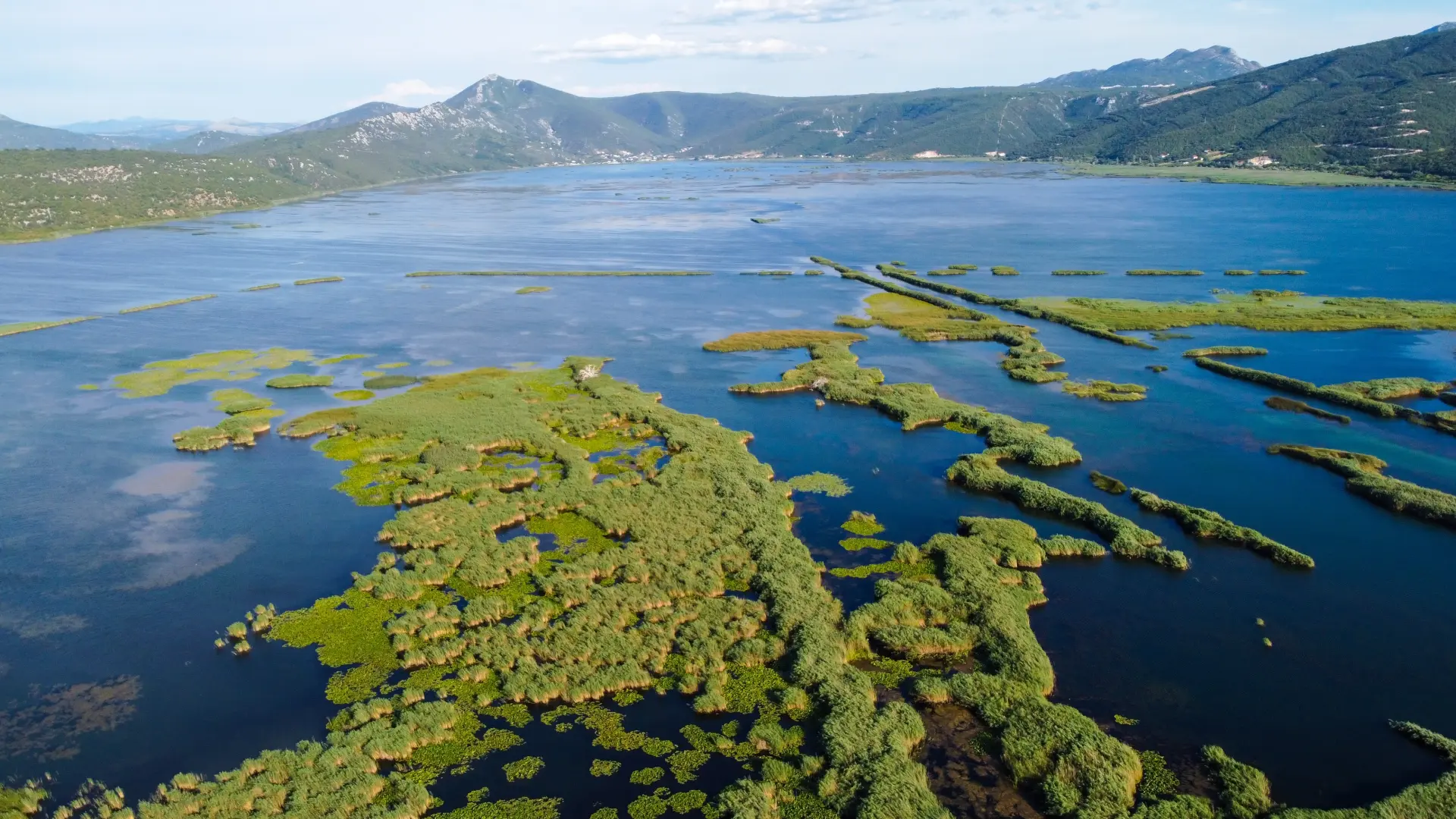 shutterstock_2342789275 Hutovo blato - Bosna i Hercegovina reka-69a6b1a232775.webp